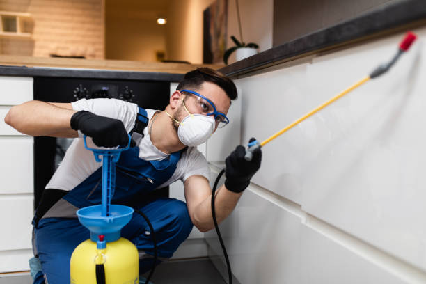 Best Exterminator Services  in Lonaconing, MD