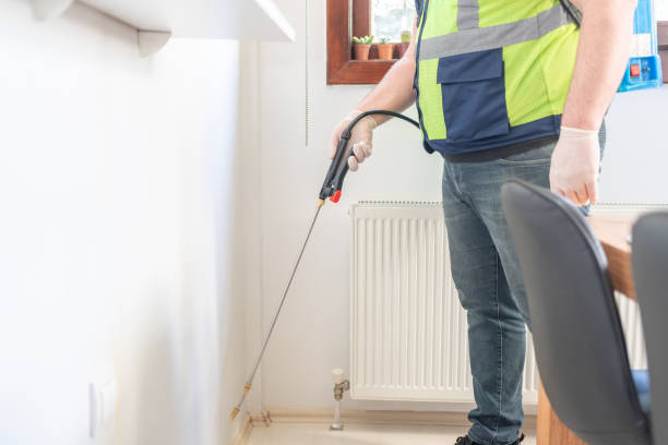 Best Affordable Pest Control Services  in Lonaconing, MD